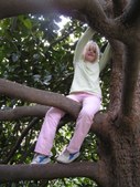 Enlarge photo 40
