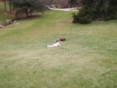 Enlarge photo 43
