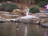 Enlarge photo 44