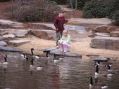 Enlarge photo 47