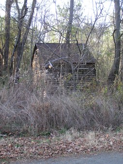 Enlarge photo 5