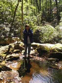 Enlarge photo 31