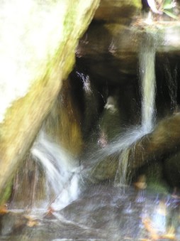 Enlarge photo 32