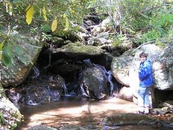 Enlarge photo 33