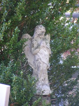 Enlarge photo 43