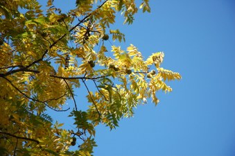 Enlarge photo 12