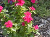 Enlarge photo 38