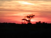 Enlarge photo 53