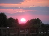 Enlarge photo 45