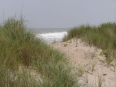 Enlarge photo 49
