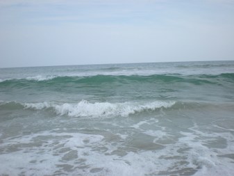 Enlarge photo 49