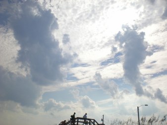 Enlarge photo 61