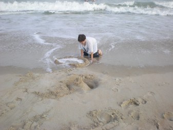 Enlarge photo 63