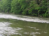 Enlarge photo 26