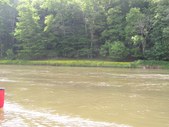 Enlarge photo 33