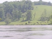 Enlarge photo 34