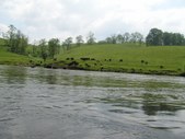 Enlarge photo 35