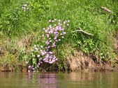 Enlarge photo 36