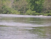 Enlarge photo 37