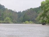 Enlarge photo 39