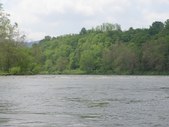 Enlarge photo 40