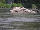 Enlarge photo 41