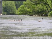 Enlarge photo 42