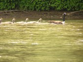 Enlarge photo 43