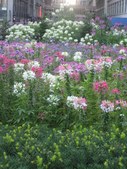 Enlarge photo 38