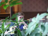 Enlarge photo 41