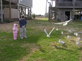 Enlarge photo 32