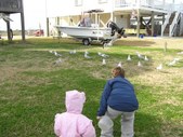 Enlarge photo 34