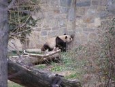 Enlarge photo 35