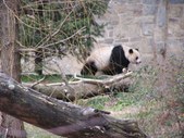 Enlarge photo 36