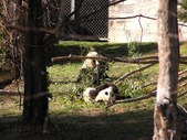 Enlarge photo 18