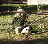 Enlarge photo 26
