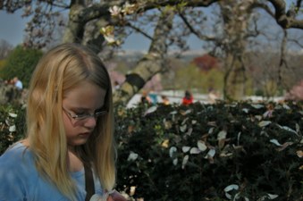 Enlarge photo 50