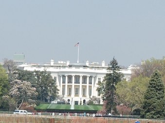 Enlarge photo 39