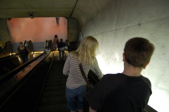 Enlarge photo 66