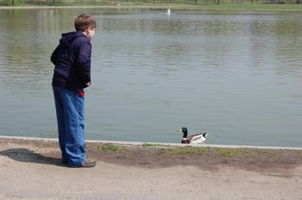Enlarge photo 27