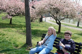 Enlarge photo 36