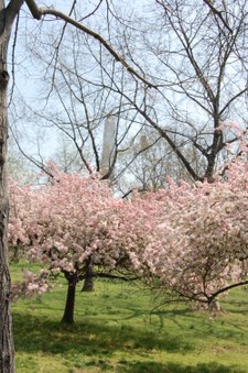 Enlarge photo 37
