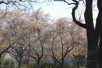Enlarge photo 40