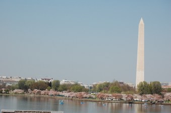 Enlarge photo 43