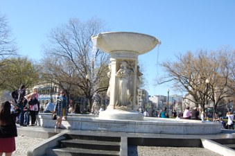 Enlarge photo 40