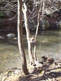 Enlarge photo 28