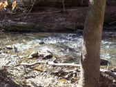 Enlarge photo 27