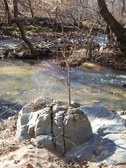 Enlarge photo 29