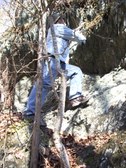 Enlarge photo 30