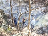 Enlarge photo 33